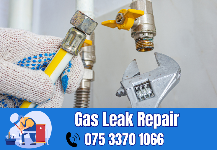 gas leak repair Hartley