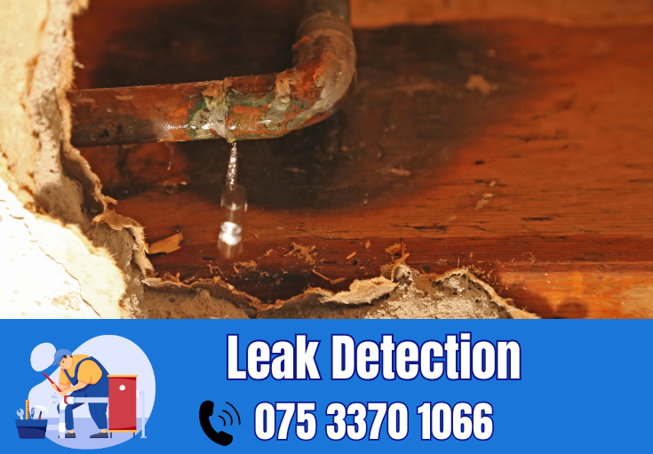 leak detection Hartley
