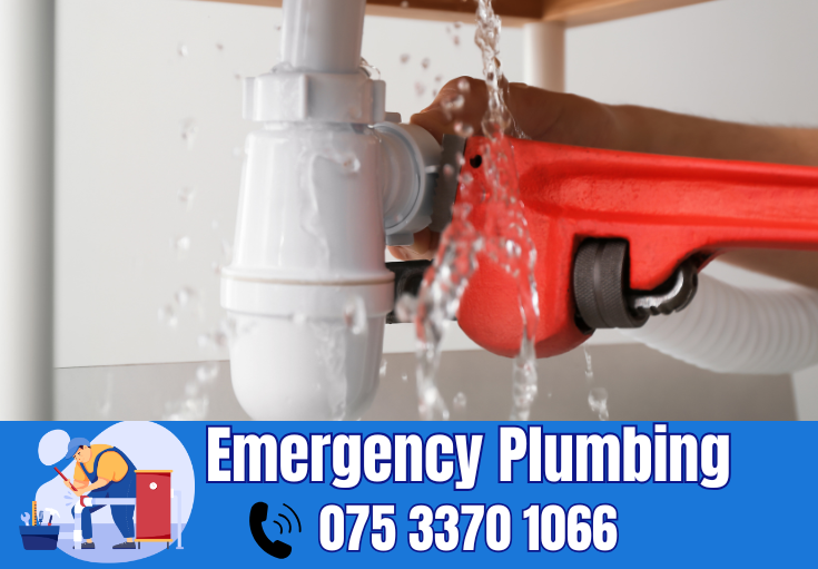  plumber Longfield