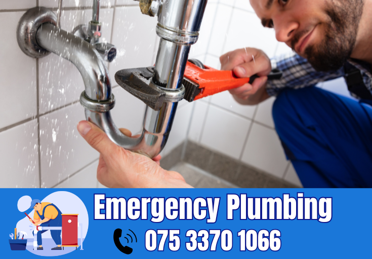  plumber Eynsford