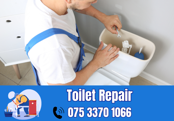 toilet repair Hartley